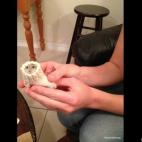 fairietales:Woodie Guthrie