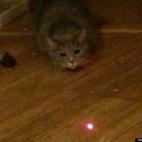 cfahooligan:Hunter face.