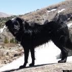 Eugene Sheehan:Astro--top of the world; he loves the outdoors.