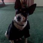 Tabitha25:What are getting into today?