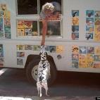 HarleyDeby:She takes the lady a dollar and then gets her own cup of vanilla ice cream..