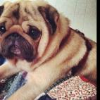 kellkell0:Why is he adorable? You see him, right?