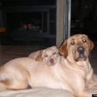 nickatnight8:Nick's little brother, Fletcher, loves to cuddle.