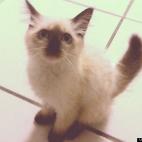 nihusa919:Pouty Face