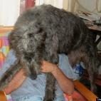 Erikhuffpost:Hey!, that's my chair!!