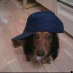 jchris7504:He is a true thug