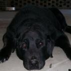 ss95chevy:Our "Baby"