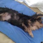 bwb122982:Everybody likes a little heat ;)