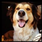 schme909:Just hanging out in the jeep