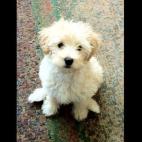 dbgoeb:He's melted our hearts since day one....