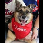 sydthekid:When we adopted her 13 years ago she was skin and bones. She was the happiest most loving animal and our best friend. This is going to be our first Christmas without her. We lost her in March 2012 to cancer. We miss her so very much bu...