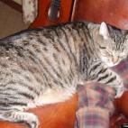 peachydeva:I love my Dad