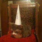 kjallyn:Fiona, of course, rejects the assertion.