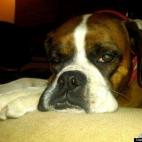 Tree Menke:She's bored :)