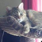 sydthekid:Before our dog Honey passed she found us someone to help us get through the hard times ahead. She found LuLu and what a blessing she has been! When we look at her we know that Honey was thinking about us as much as we were thinking abo...