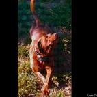 Charlie Weisman:Go ahead. Try to resist that gorgeous physique.