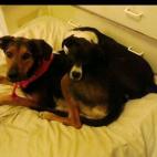 cjsails:Love at first sight!