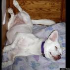 Richard G Morrison:She's always so available!