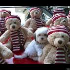 MILLBROOK:Boarding Santa's Sleigh....