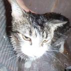 sunflowerholly4:Bath time sure is fun!