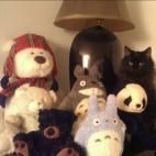 Yreason:Blending right in.