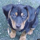 rickiowoods:Seattle, Washington