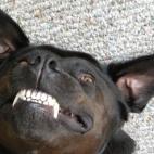 macy2:Life's Good!!!