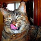 topflo23:"Did I get it?"