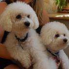 -- Elyse Siegel, HuffPost