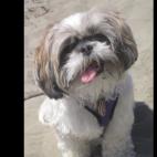 Melgal:Warning: Her cuteness can be too much to bear!