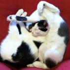 vootie:Xavier & Xander