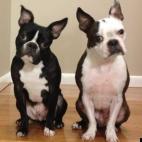 lbpthd81:We're not as innocent as we look