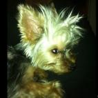 laduca67:she's a thinker...