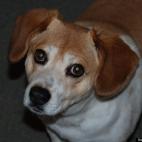 Scott Funk:Did u juss say gofur a wide?