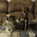 Dairose:It's photo time but as hubby clicked I came in eating a cookie so all eyes turned to me instead of him.