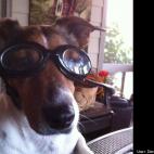 DressageGoddess:My Sweet Near-Sighted Boy!