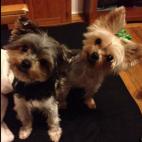 laduca67:they'd like to know what kind of treat they're getting!