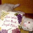 Anita Weaslemom:The picture says it all.... xoxo