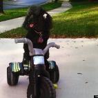 Filmlover23:What balance!