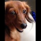 lilrockdiva:I that a cookie in your pocket, or are you just...