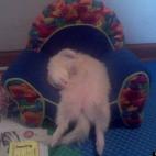 lisag1166:I was very tired