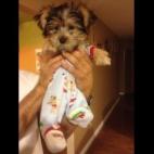 jnettigert:Ok, I DID NOT agree to this when I said I would come and live with you!