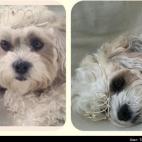 Tara Mackenzie:Happy Birthday Baby!