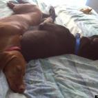 bburger19:Best buddies