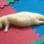 lisag1166:Mom, I think I ate too much