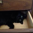 Chacha50:I'm kinda busy right now, call me later