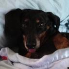 lilrockdiva:Wake up in the morning feeling like big Fibby, Hey, what up girl?