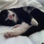 Joni Parent:It's a hard life.