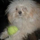 Jan Gilliland:My rock star, Bailey!