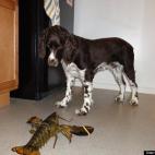 NicholasBagg:Getting ready for dinner!